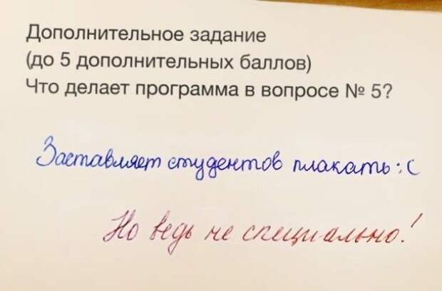 Ученики, которые изо всех сил старались быть лучшими, но что-то пошло не так история, прикол, факты, юмор