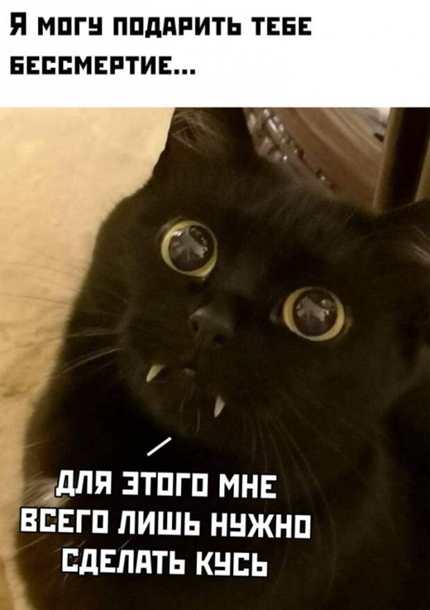 Подборка картинок (32 фото)