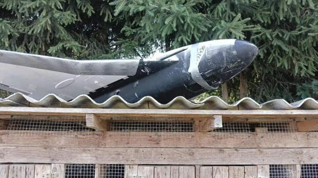 Eurofighter и Rafale в Польше не смогут защитить страну от роя «Гераней»