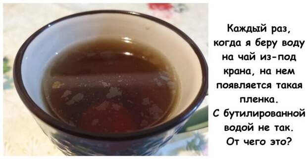15 вопросов о странных (и не очень) вещах, на которые помогли найти ответы