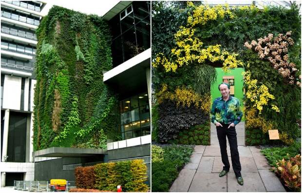 «Живые» фасады от Патрика Блана: как заставить расти траву и цветы на вертикальных поверхностях