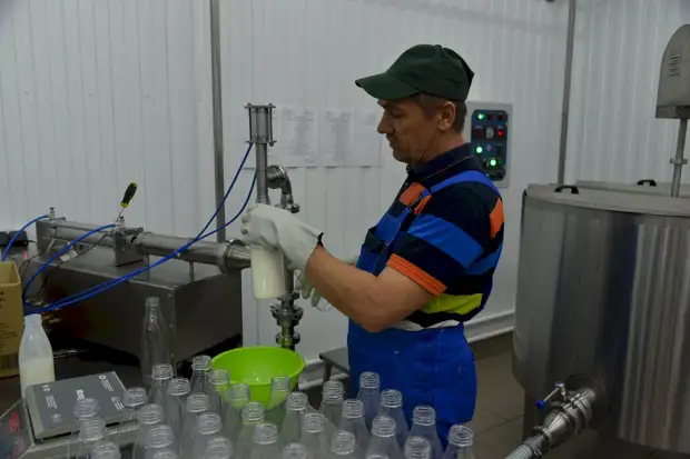 Союз труда и ответственности. Как в алтайском селе за шесть лет построили успешный агрокомплекс