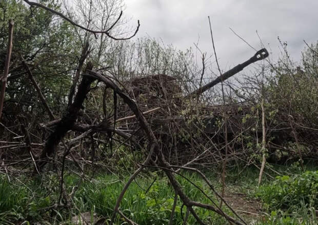 Расчеты САУ «Гвоздика» 1-го армейского корпуса уничтожили замаскированный опорный пункт ВСУ на Донецком направлении