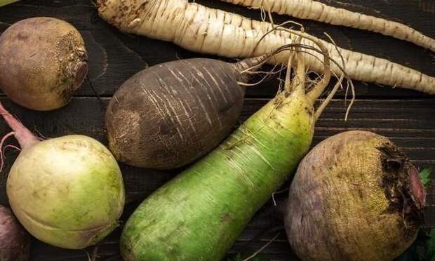 Для иммунитета, мозга и пищеварения: рецепт салата с редькой, особенно полезного зимой