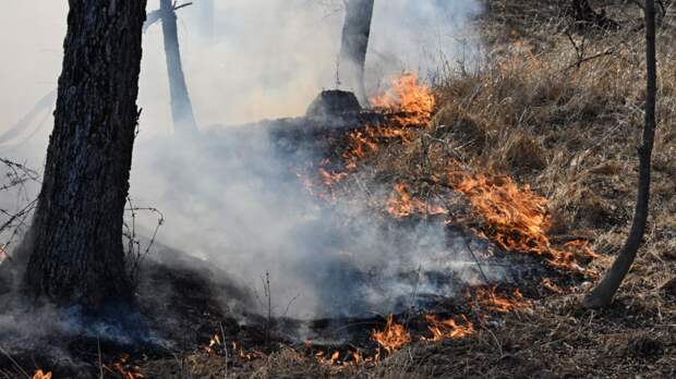 Сезон лесных пожаров в нынешнем году завершится только в октябре