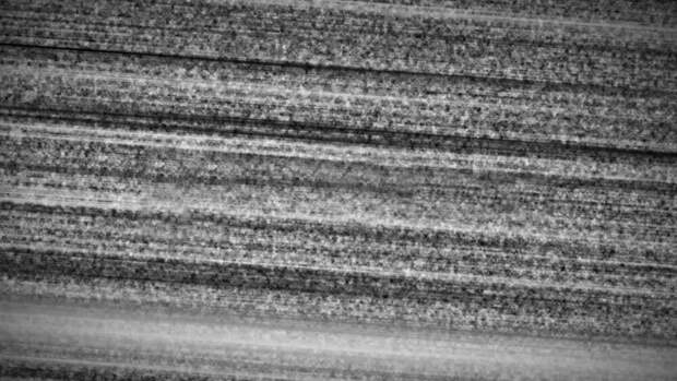 Хаос и мозг