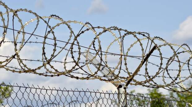 Страны Прибалтики создадут оборонную линию на границе с Россией и Белоруссией