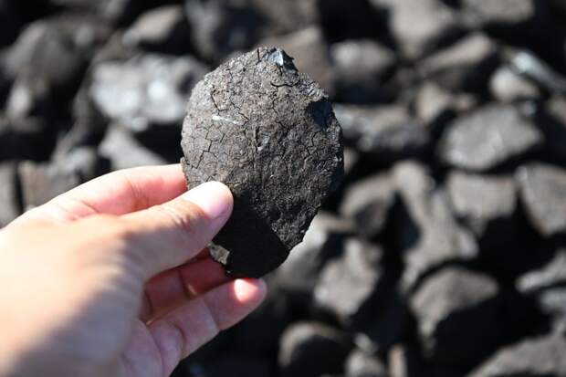 Каждый гражданин Монголии получит $18 дивидендов от годового экспорта угля в КНР