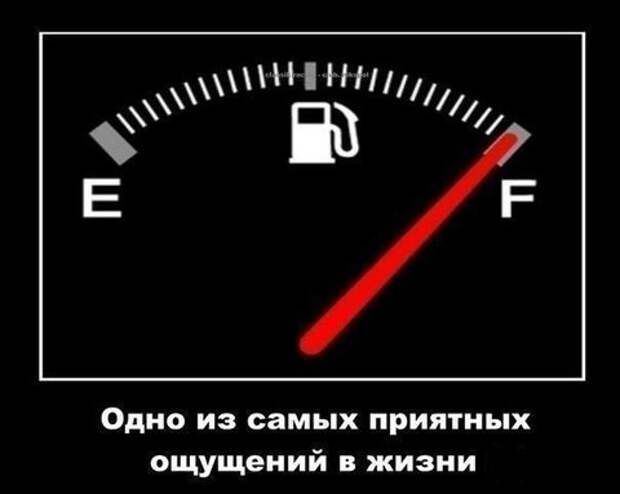 Позитивчик прикол, фото   юмор, юмор
