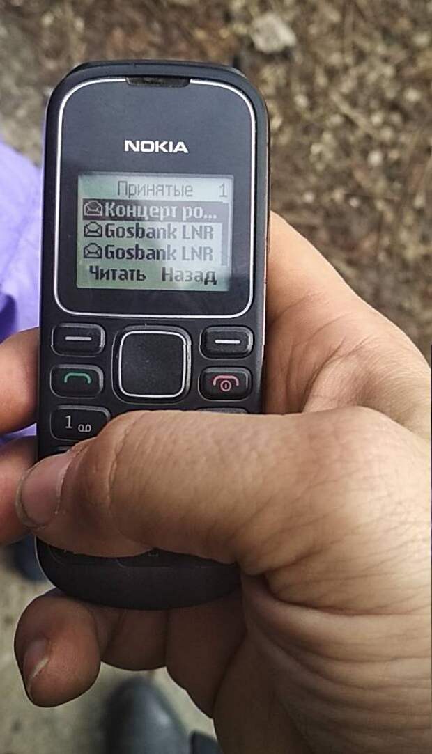 Записки Колорадского Таракана. Не шизоидный синдром, а украинский палиндром