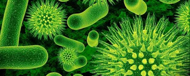 Вирусная и бактериальная инфекция – разные вещи, перепутать опасно