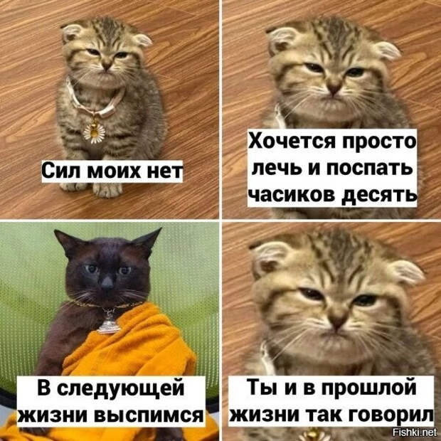 1bb361ebc57043b548a533d63eafbea0 (600x600, 266Kb)