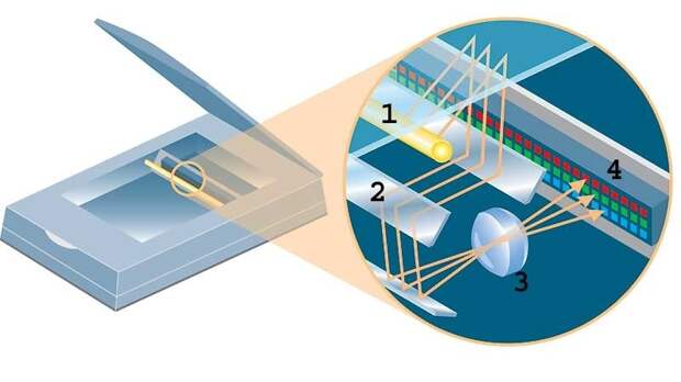 Как устроен сканер