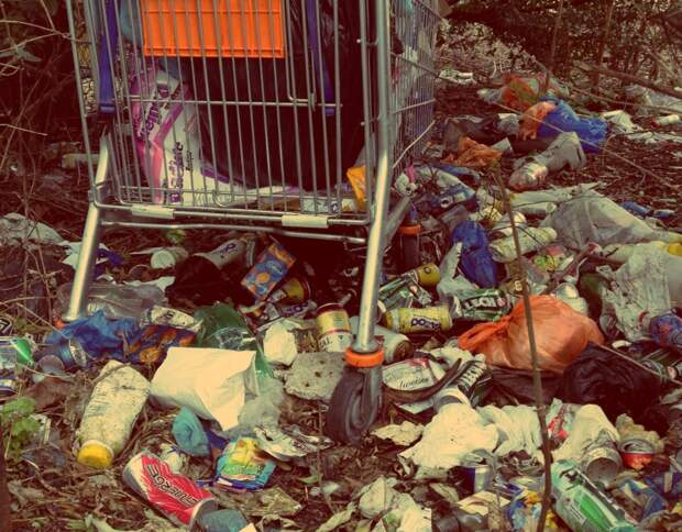 ЭкоЦентр прокомментировал публикацию об астраханских свалках