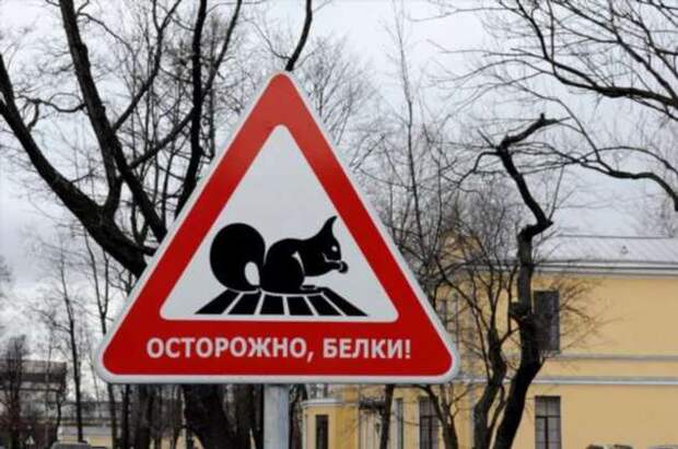 Предупреждающие таблички. Прикольные. Подборкаchert-poberi-tablichki-59220625062020-15 картинка chert-poberi-tablichki-59220625062020-15