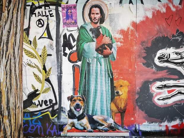 kartinok-veselyh-interesnyh-kartinki-smeshnye-kartinki-fotoprikoly kartinok-veselyh-interesnyh-kartinki-smeshnye-kartinki-fotoprikoly