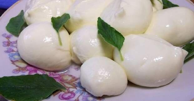 Домашняя моцарелла: молодой сыр со сливочным вкусом
