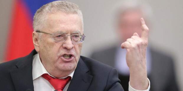 Жириновский выступил за ограничение количества детей в семье