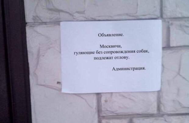 www.vsyako.net