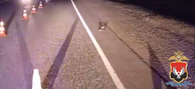 В Дебёсском районе насмерть сбили пенсионерку