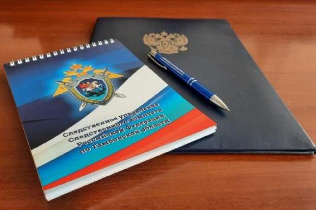 Тамбовчанку подозревают в публичной демонстрации символики экстремистской организации