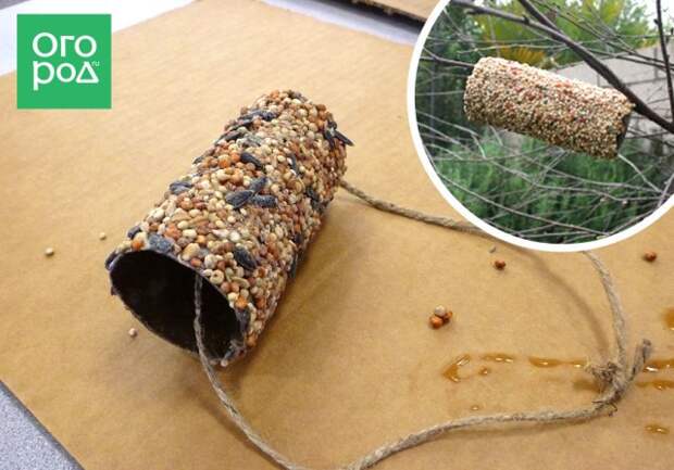 кормушка из втулки от туалетной бумаги