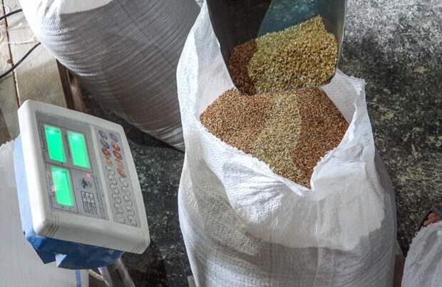 Турция заявила, что поставки зерна из Украины начнутся в течение суток