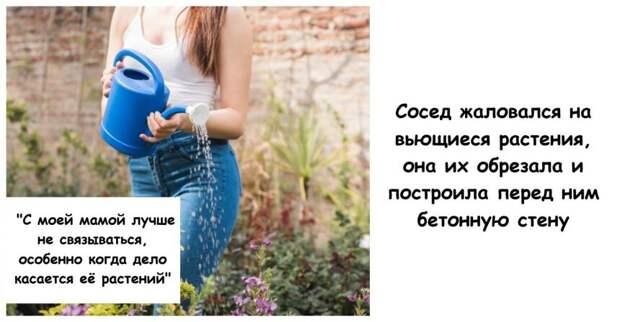 Сосед жаловался на вьющиеся растения, она их обрезала и построила перед ним бетонную стену
