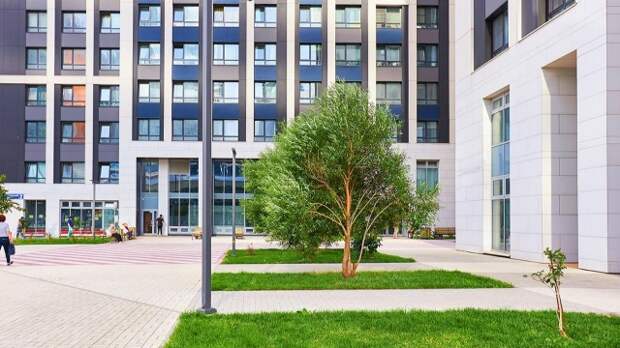 Проект КРТ реализуют в Можайском районе