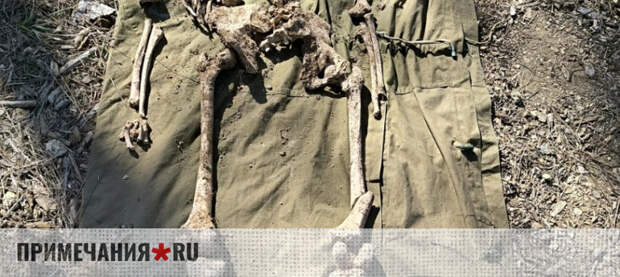 Останки советского морпеха нашли в Севастополе
