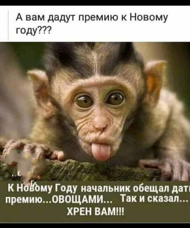 Собрались как-то охотники на завалинке, сидят байки травят.  - Иду я, значит, по лесу дремучему...