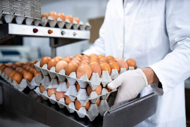 Стоимость куриного яйца в России снизилась на 12,4% с января