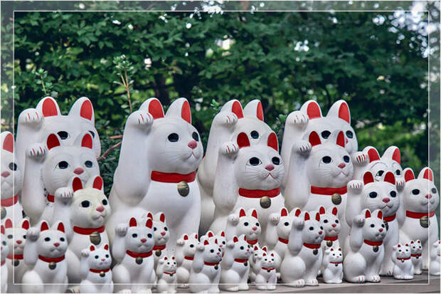 Японский манэки-нэко — кот, поднявший одну лапу и «машущий» — символизирует удачу. 