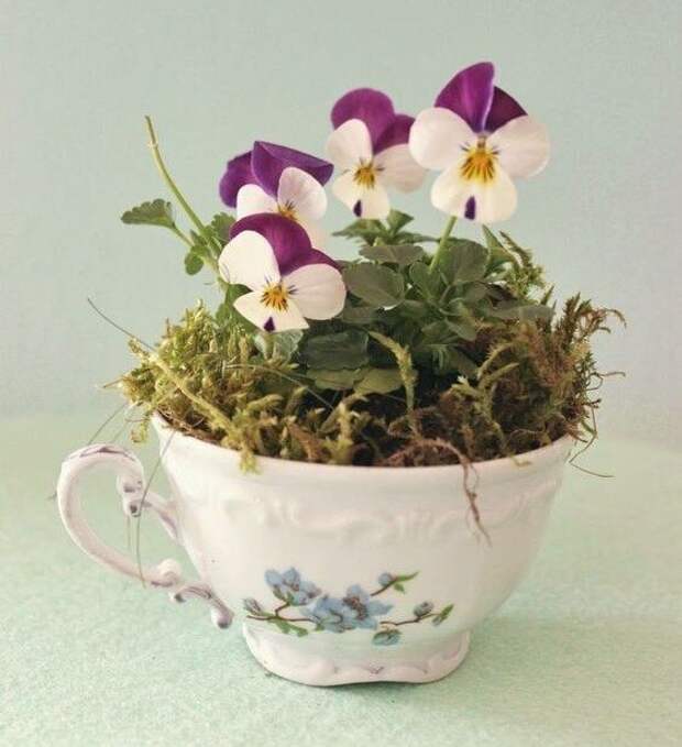 Фото из открытых источников интернета.