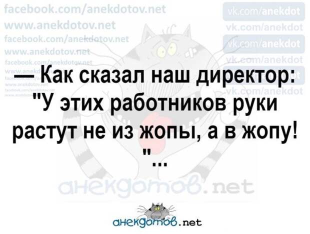 Анекдоты - лучшее от "анекдотовнет" Анекдоты - лучшее от "анекдотовнет"