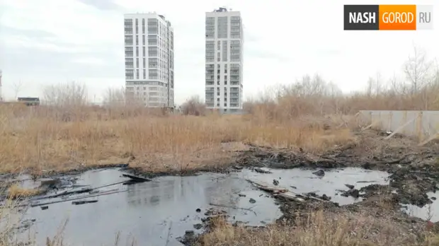 Лужу мазута на ДОКе в Тюмени обещали убрать, но она до сих пор на месте
