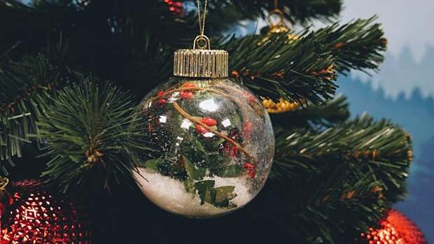 Новый год / Фото: Екатерина Смолихина / amic.ru