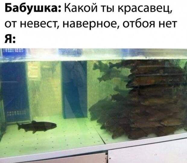 Прикольные картинки в ассортименте!!!
