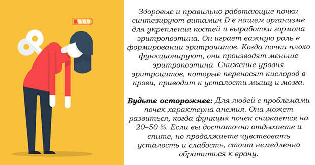 10 скрытых признаков проблем с почками, которые нельзя игнорировать