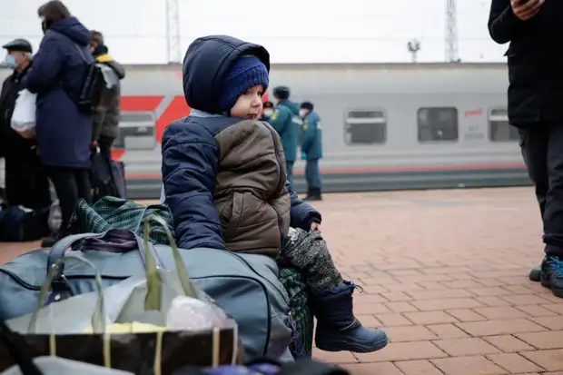 А Вы готовы лично приютить беженца из Украины?