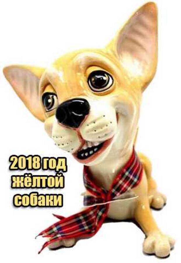 Картинки по запросу фото символ года собака жёлтая