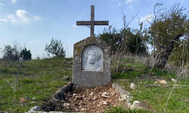 Протоирей Ильяшенко объяснил, по каким причинам не ставят крест на могиле питомца