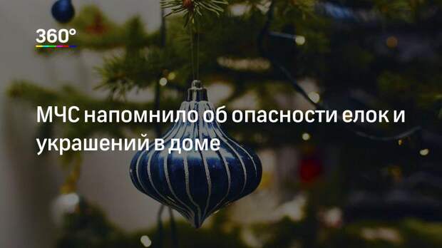 МЧС напомнило об опасности елок и украшений в доме