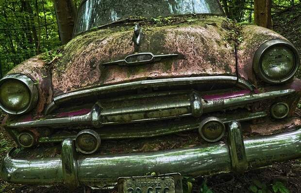 Ржавеющие на лоне природы машины привлекают любителей старины/ Фото: pixabay.com