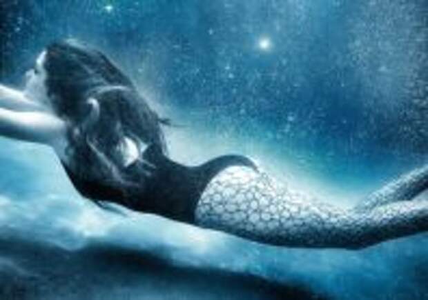 Wolford WILDLIFE | LookBook