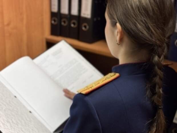 Главе ведомства доложат по уголовному делу о хулиганских действиях подростков в Санкт-Петербурге