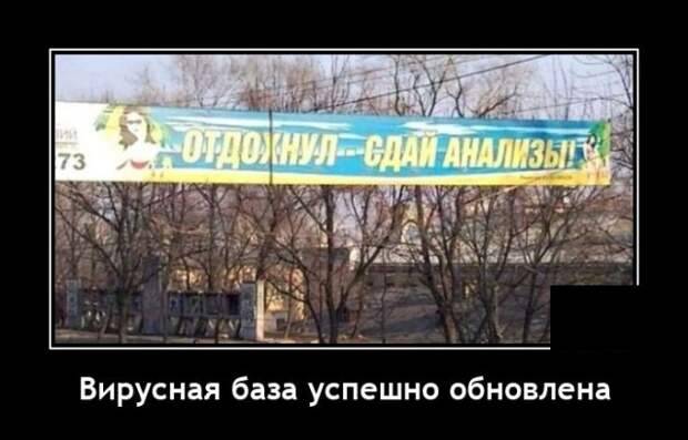 Демотиваторы 19 января 2022 года