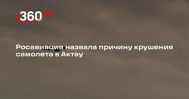 Росавиация назвала столкновение с птицами причиной крушения самолета в Актау