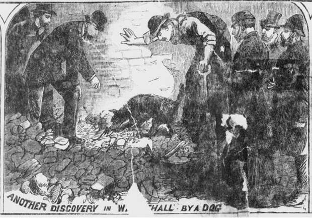 Поисковая собака находит еще одну часть тела.