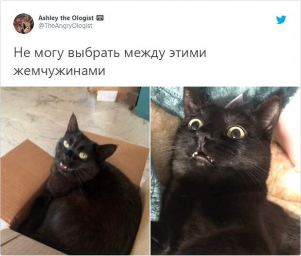 www.vsyako.net